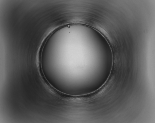 X0000094381082200711162126