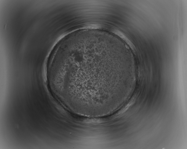 X0000094381083200711162126