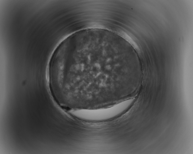 X0000094381084200711162126