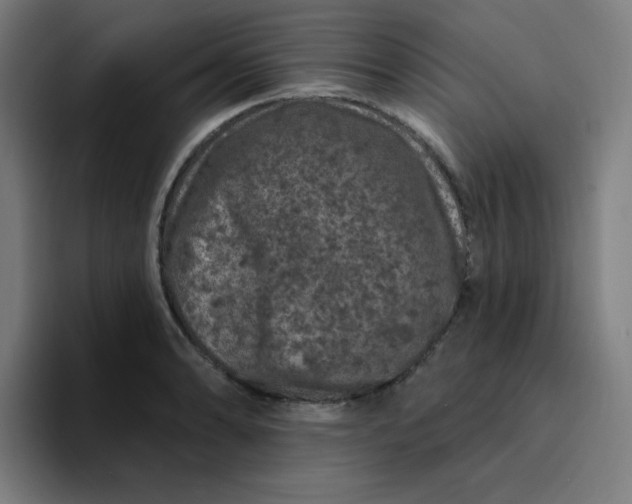 X0000094381086200711162126