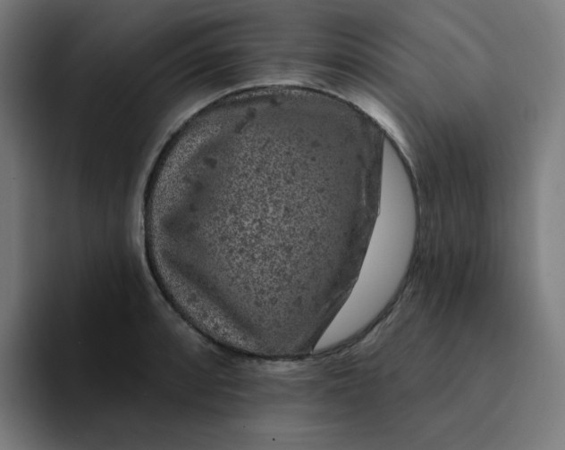 X0000094381088200711162126