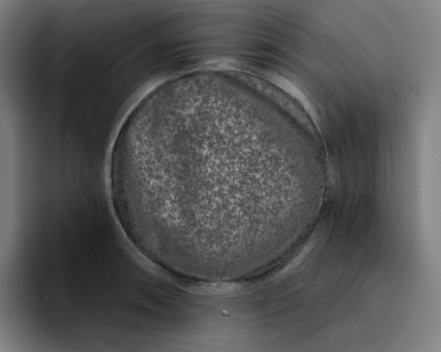 X0000094381090200711162126