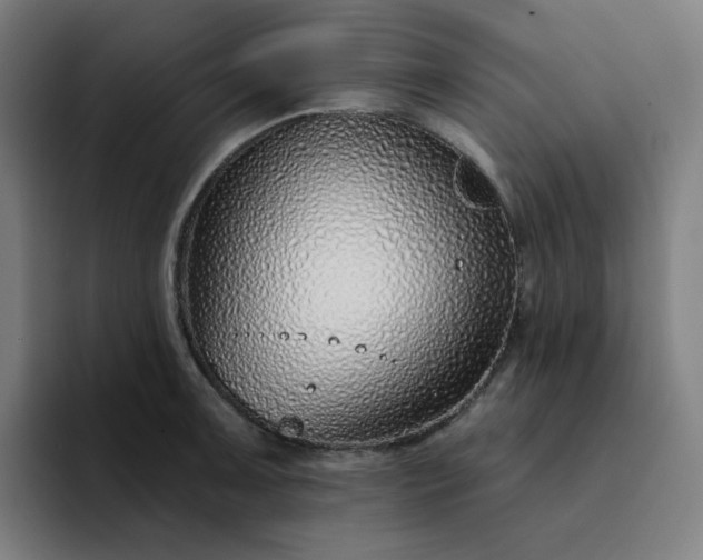 X0000094381091200711162126
