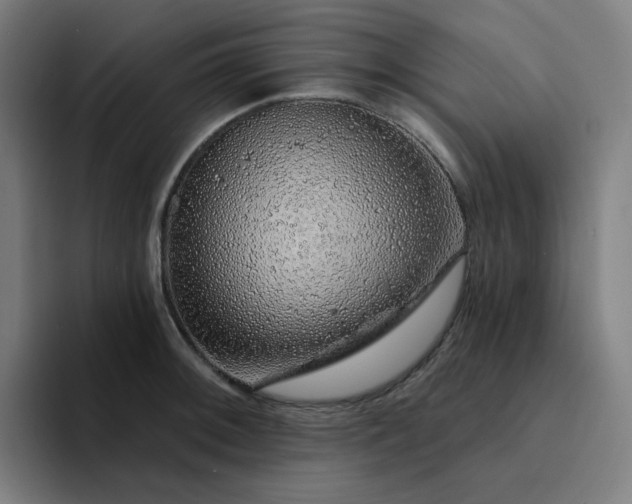 X0000094381092200711162126