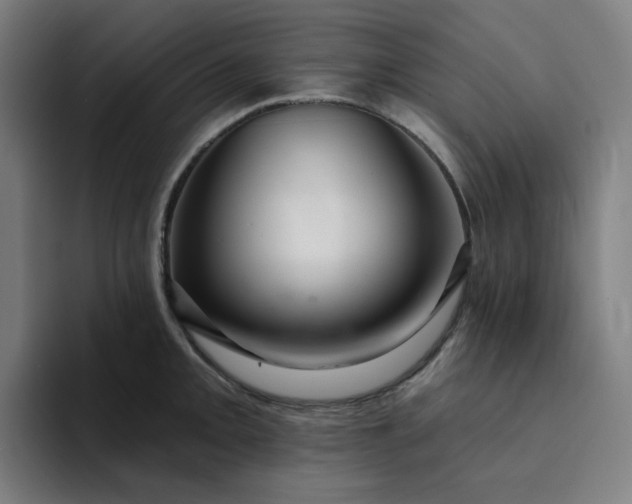 X0000094381093200711162126