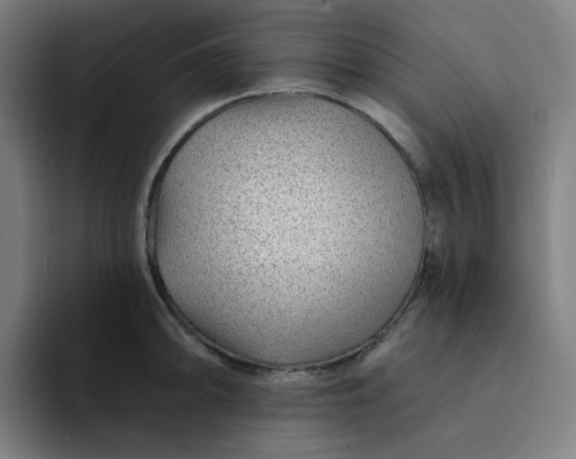 X0000094381094200711162126