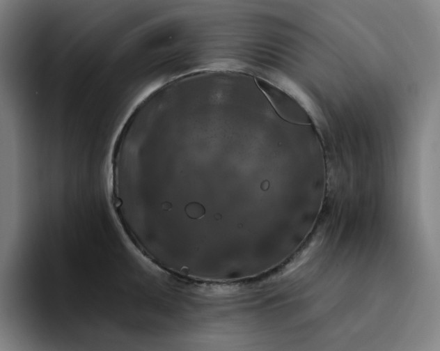 X0000094381095200711162126