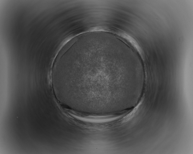 X0000094381097200711162126