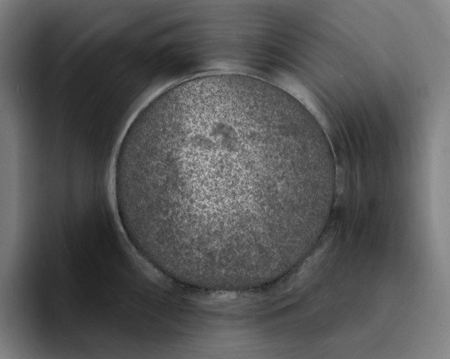 X0000094381098200711162126