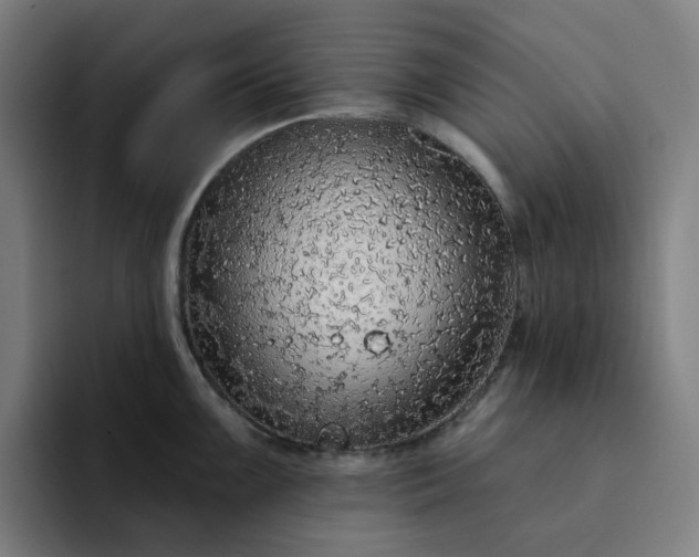 X0000094381099200711162126