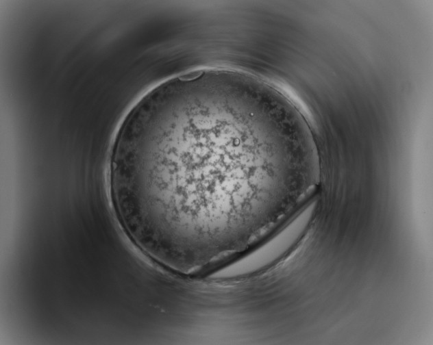 X0000094381100200711162126