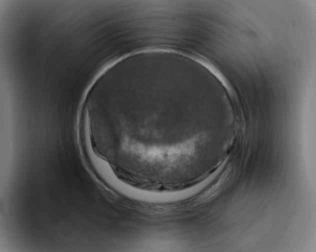 X0000094381101200711162125