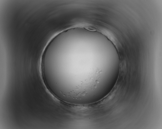 X0000094381103200711162125
