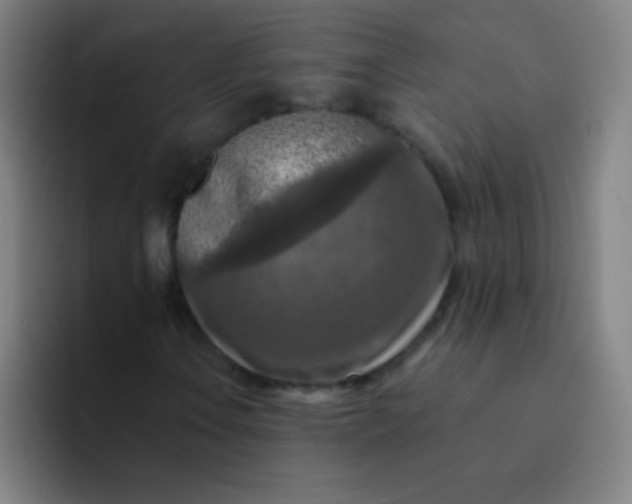 X0000094381106200711162125