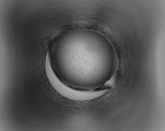 X0000094381109200711162125