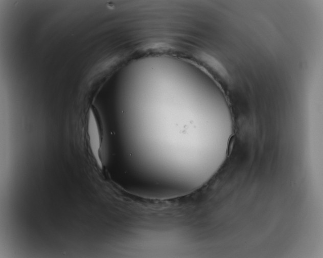 X0000094381111200711162125