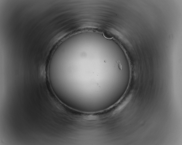 X0000094381113200711162125