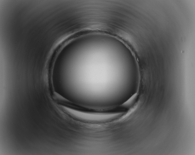 X0000094381114200711162125