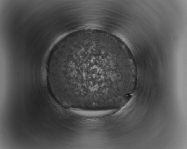 X0000094381115200711162125