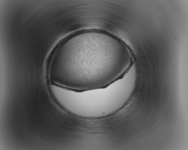 X0000094381116200711162125