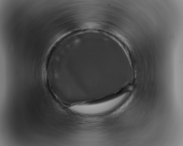 X0000094381117200711162125