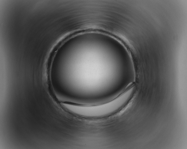 X0000094381118200711162125