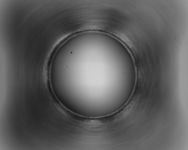 X0000094381119200711162125