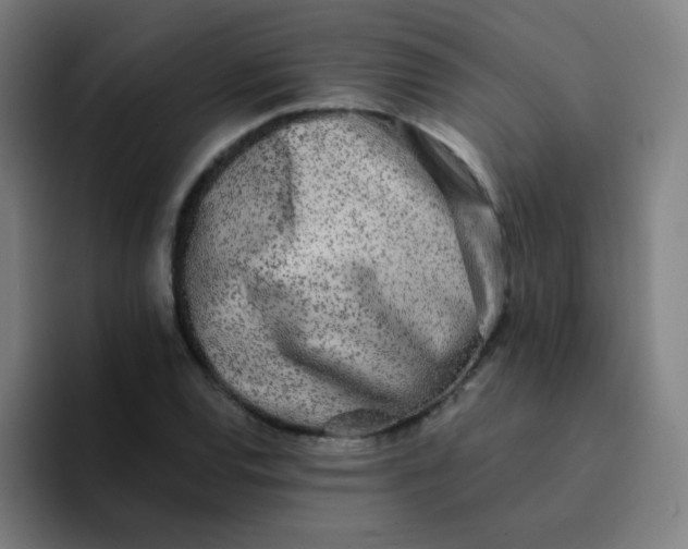 X0000094381120200711162125