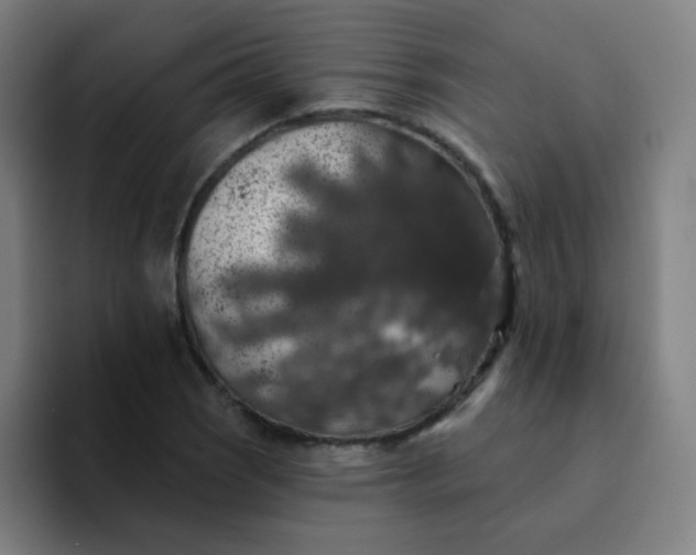 X0000094381121200711162125