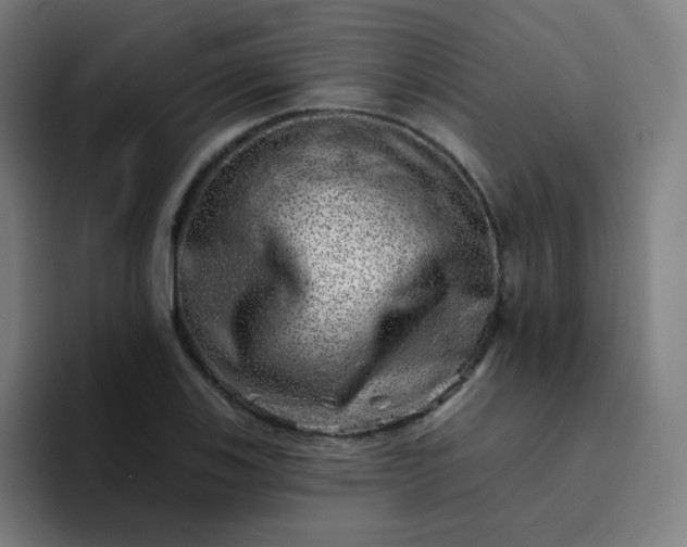 X0000094381123200711162125