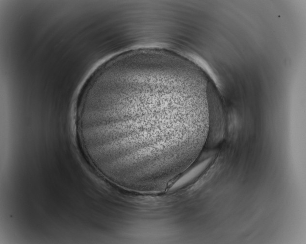 X0000094381124200711162125