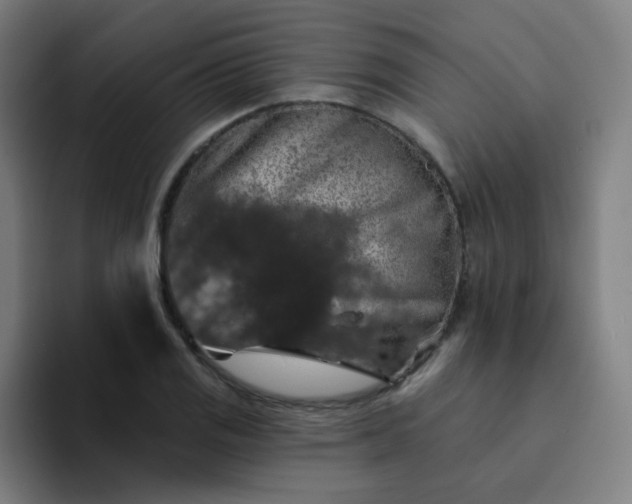 X0000094381125200711162125
