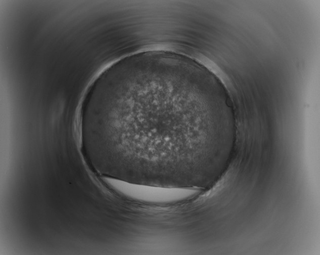 X0000094381127200711162125