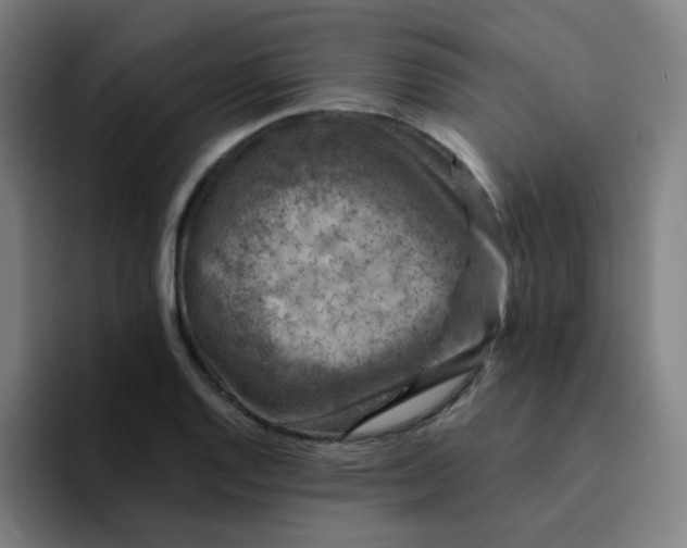 X0000094381128200711162125