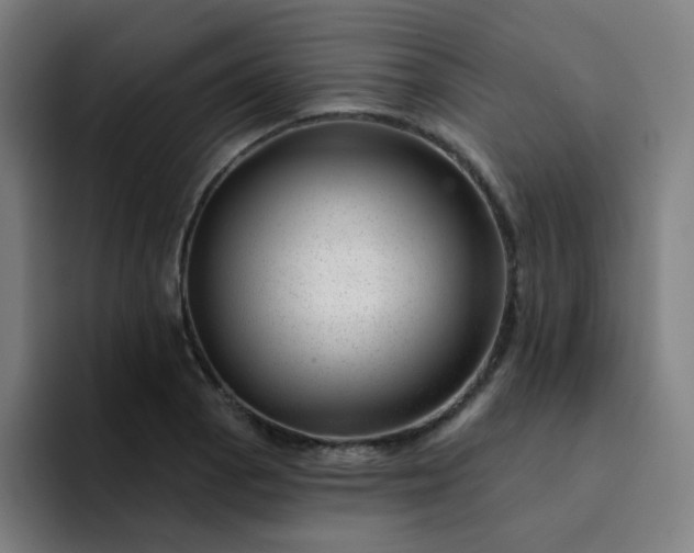 X0000094381129200711162125