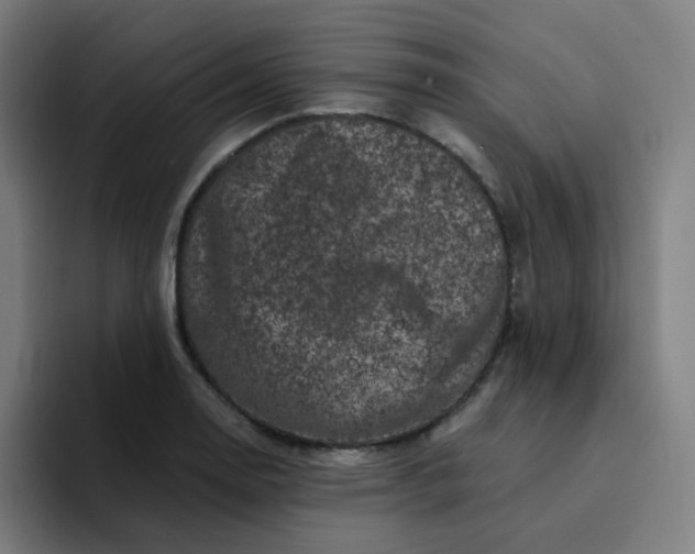 X0000094381130200711162125