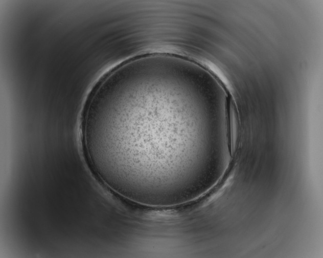 X0000094381133200711162125