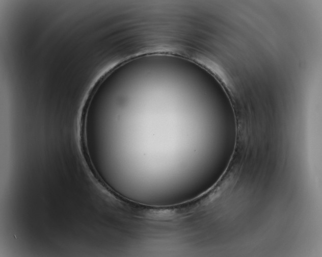 X0000094381135200711162125