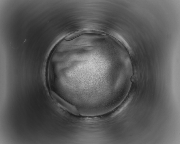 X0000094381138200711162125
