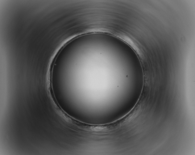X0000094381140200711162125