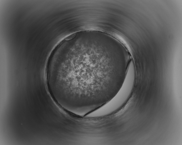 X0000094381141200711162125