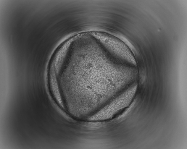 X0000094381142200711162125