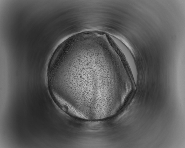 X0000094381143200711162125