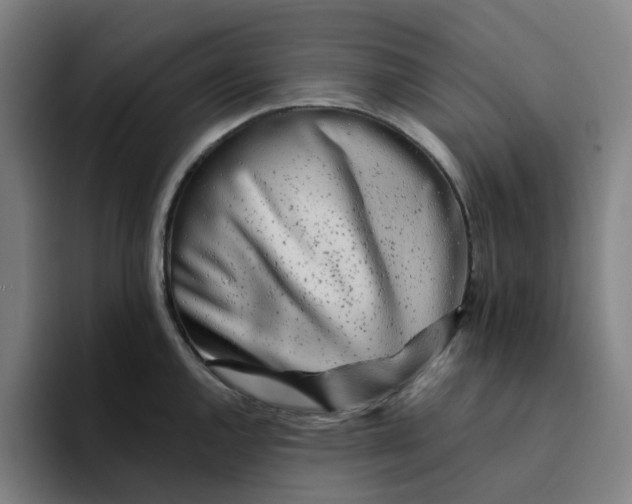 X0000094381144200711162125
