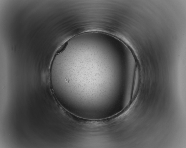 X0000094381145200711162125