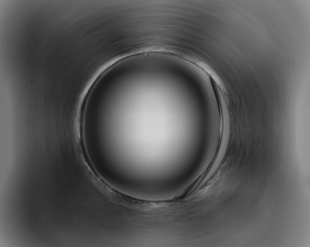 X0000094381148200711162125
