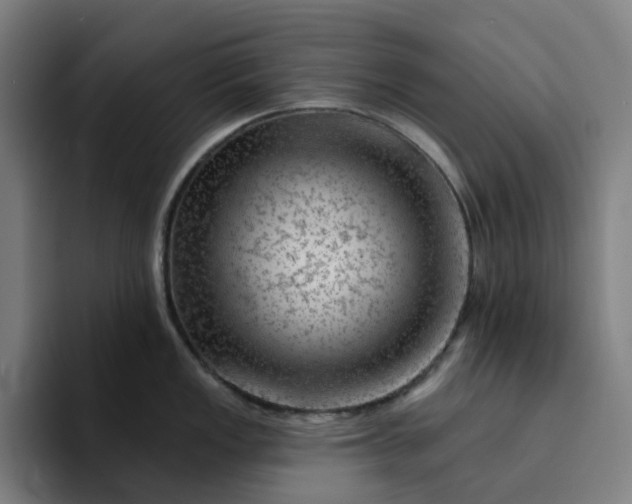 X0000094381149200711162125