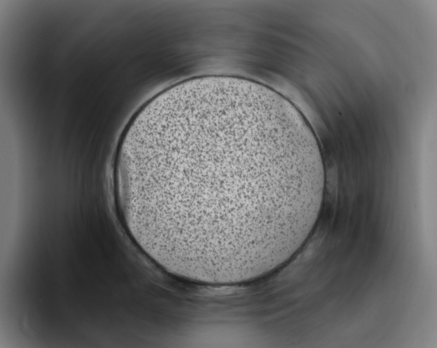 X0000094381150200711162125