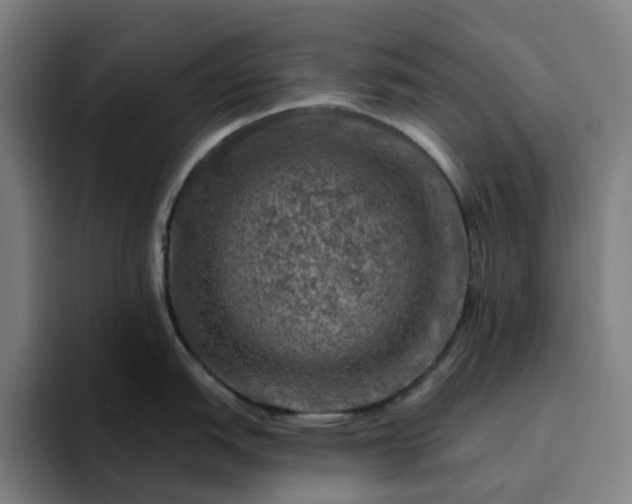 X0000094381151200711162125