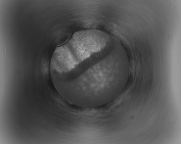 X0000094381154200711162125